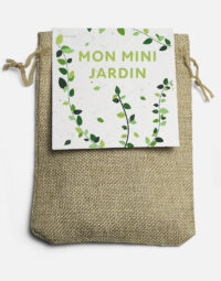 kit mini jardin basilic