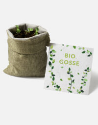 présentation Kit à planter bio gosse