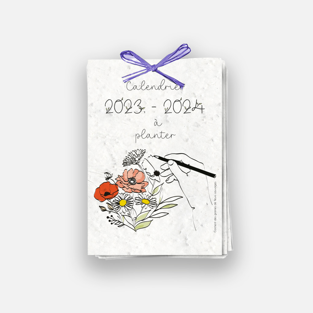 Calendrier à planter 2024. Calendrier ensemencé fleurs sauvages,  coquelicots et marguerites : : Produits Handmade